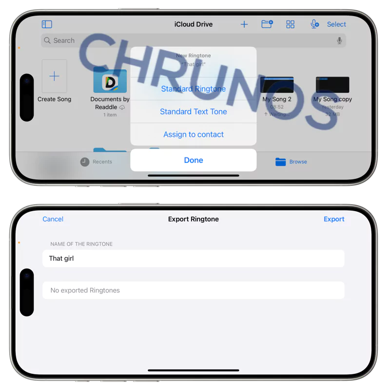 /convert-spotify-to-iphone-ringtone/images/set-as-standard-ringtone.webp