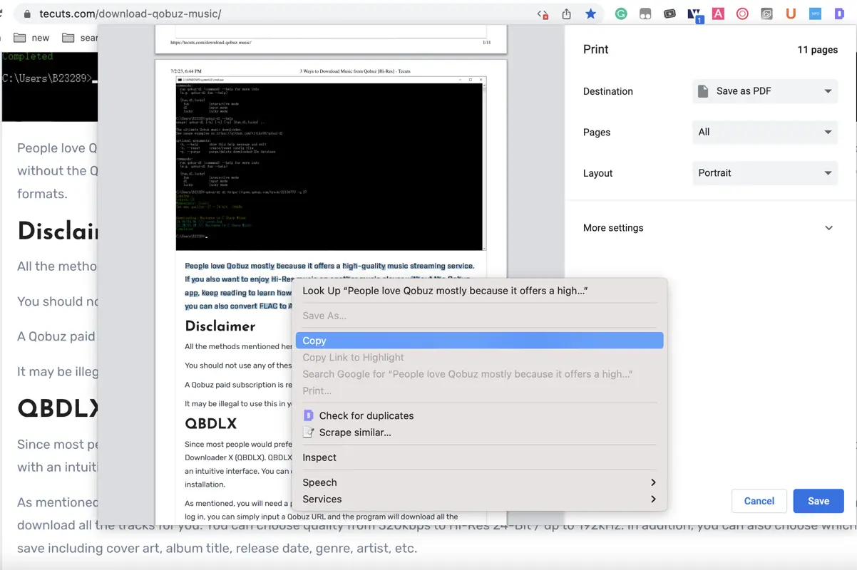 Chrome Print PDF /copy-uncopyable-text/images/chome-print-pdf.webp