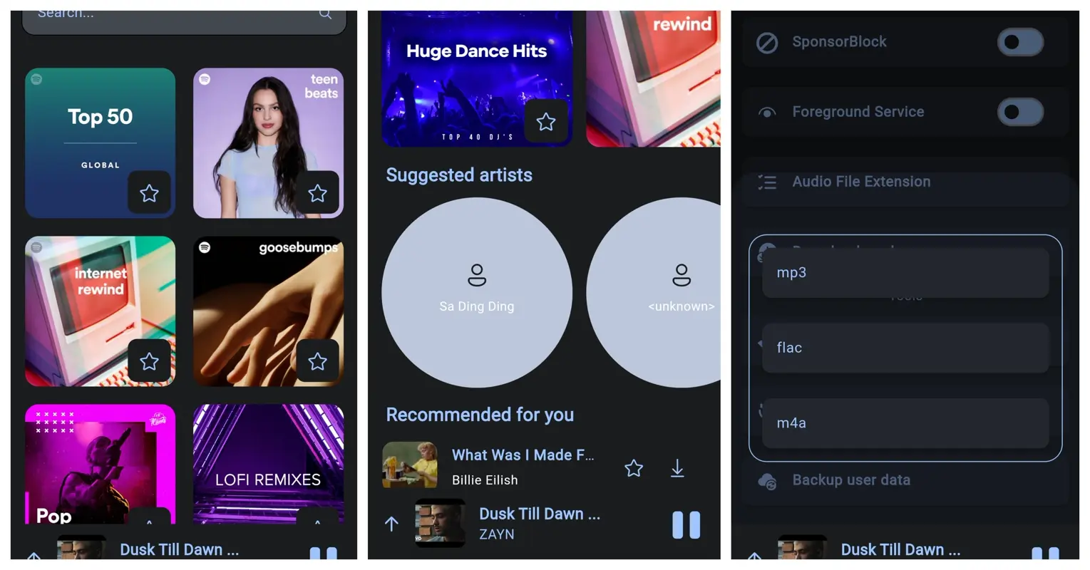 /spotify-downloader-android/images/musify-android.webp