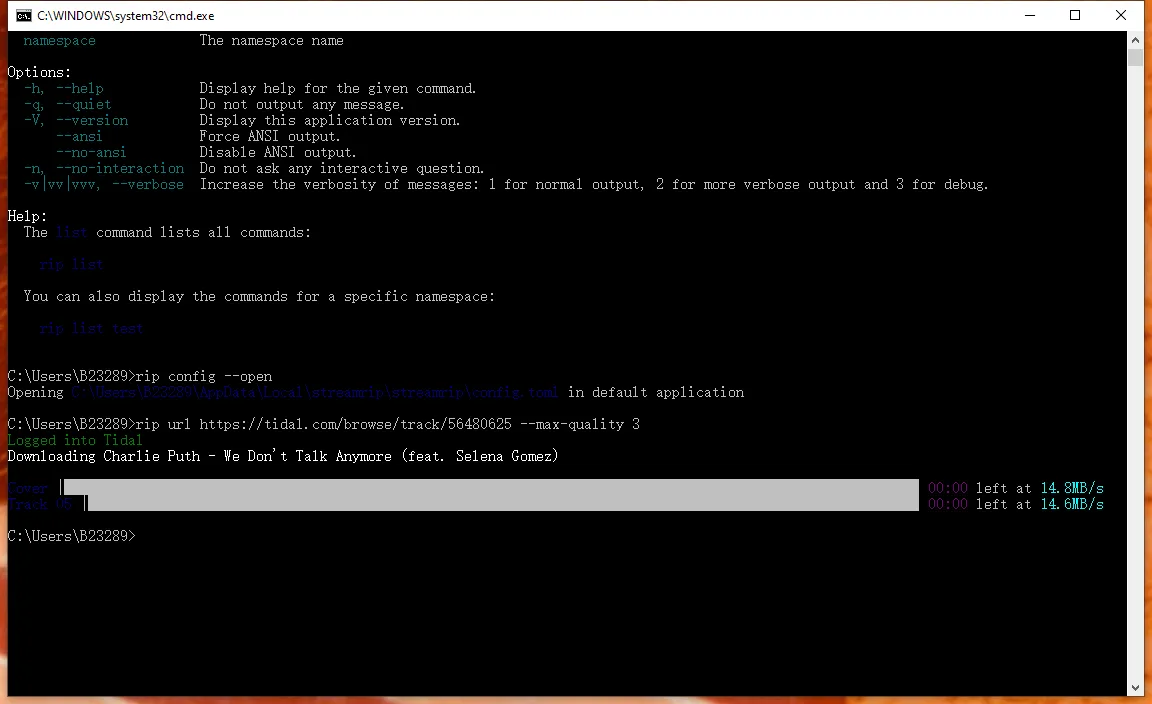 /streamrip-tutorial/images/streamrip-tidal.webp