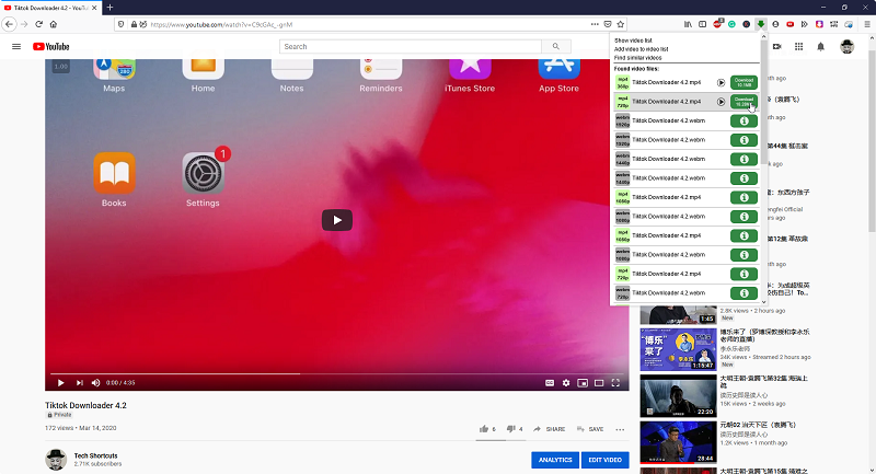 firefox add on to download entire youtube playlist in 1 click