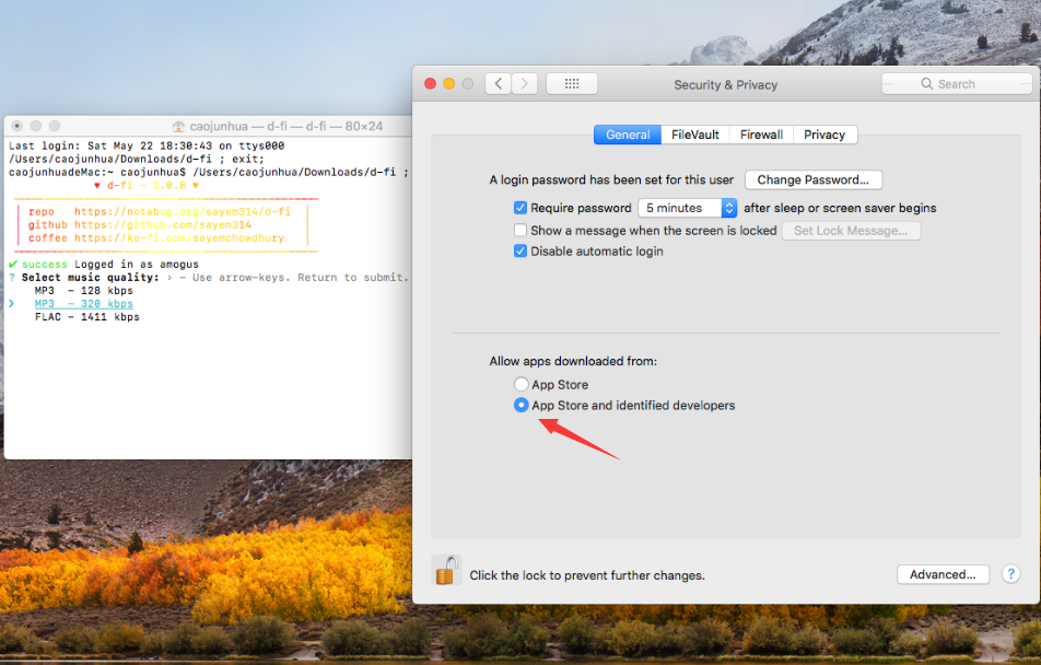 D-fi Deezer Downloader