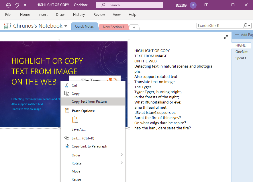 copy text from picture onenote