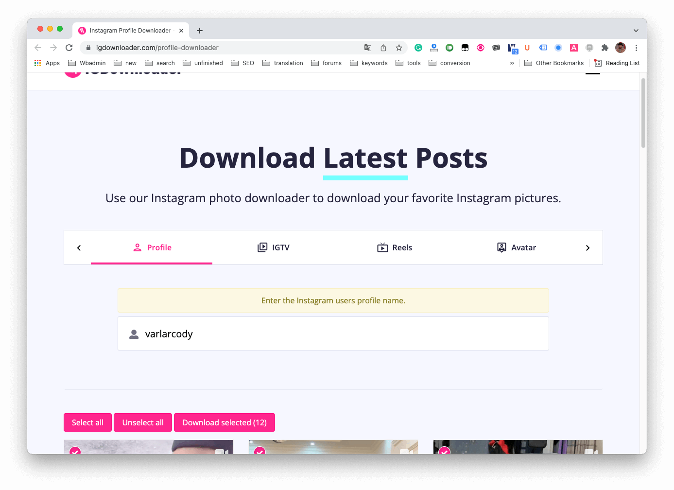 Instagram Profile Downloader online