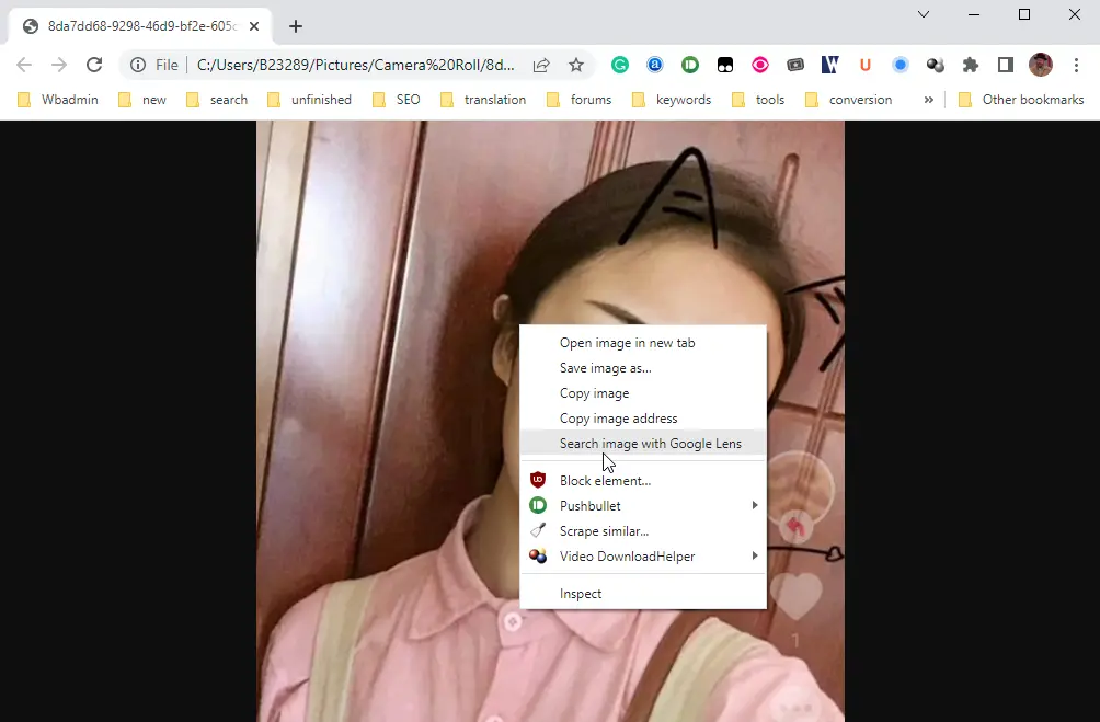 Chrome Image Search