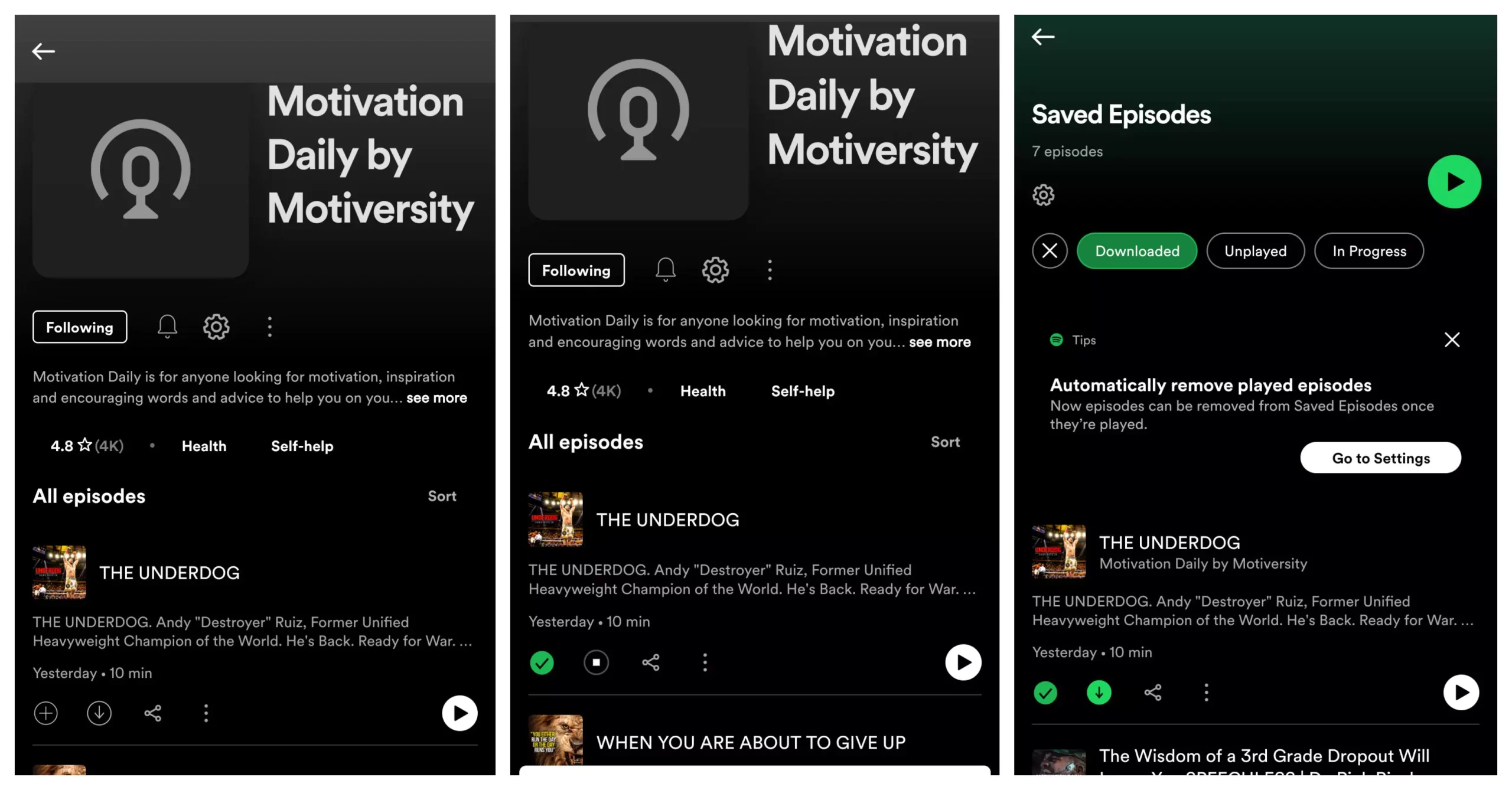 Download Spotify Podcasts