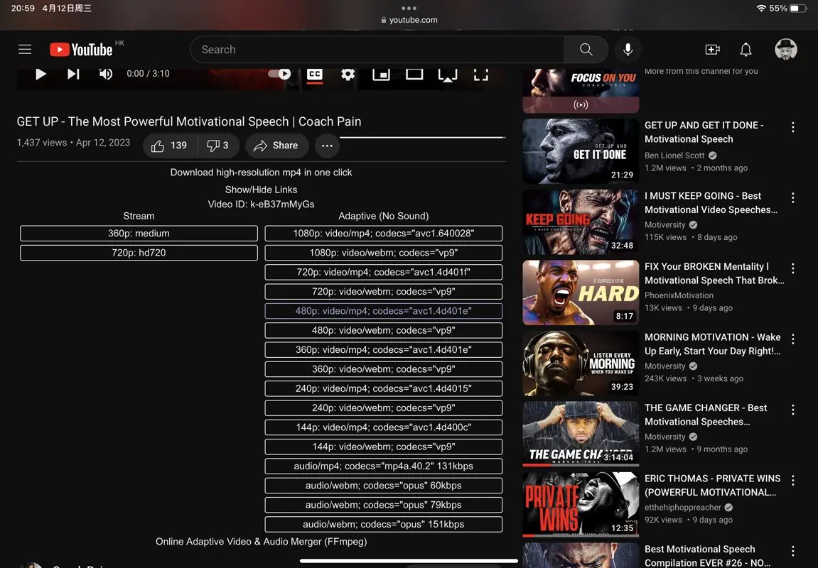 Local YouTube Downloader on iPad