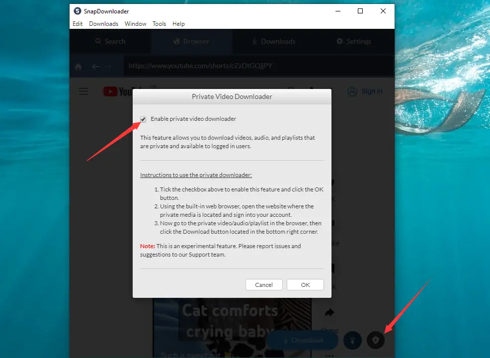 Private Video Downloader