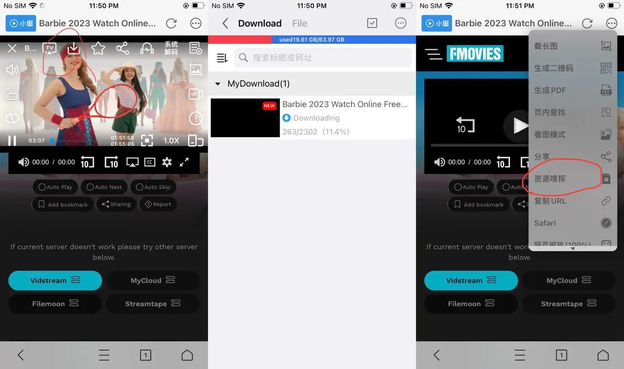 Private Video Downloader iPhone