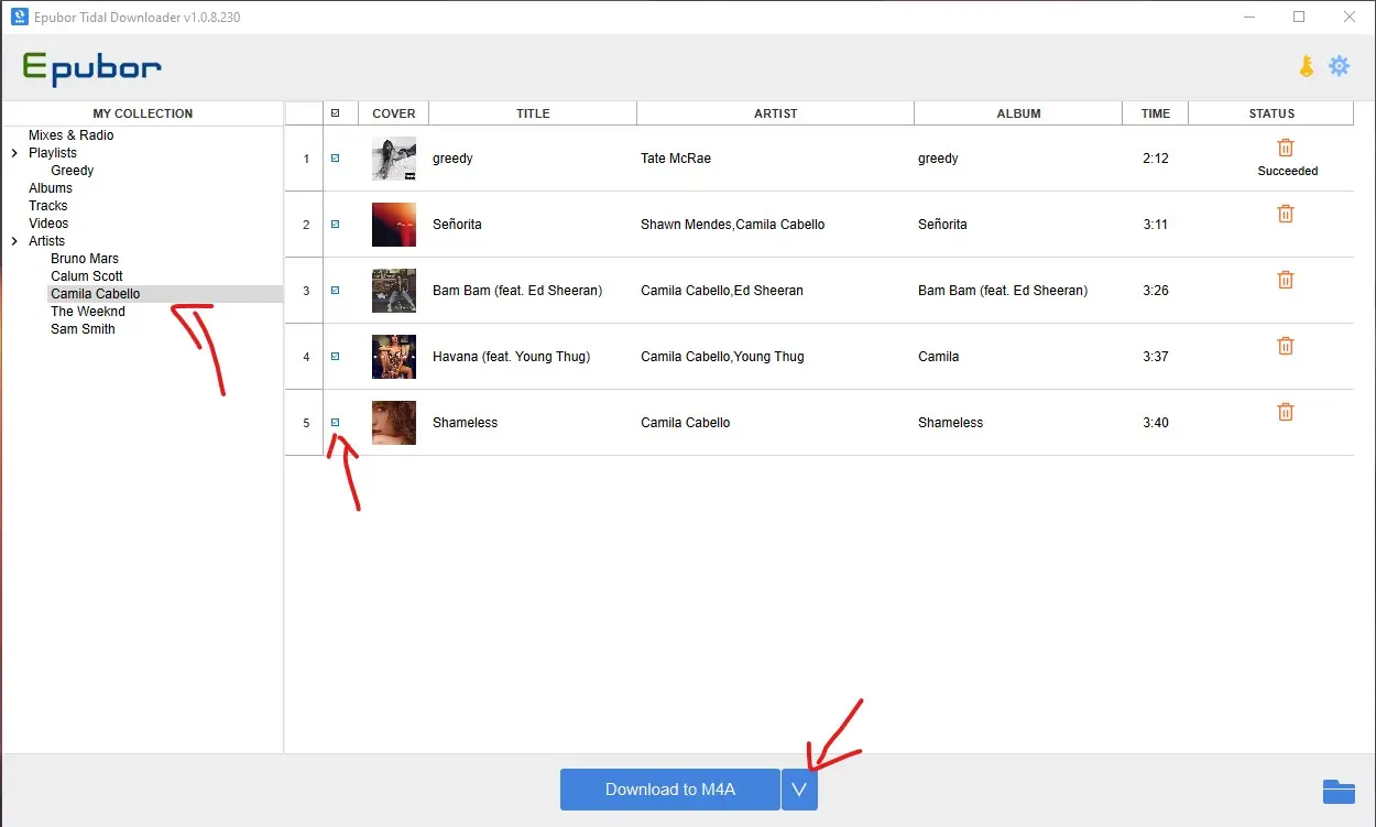 Epubor Tidal Downloader