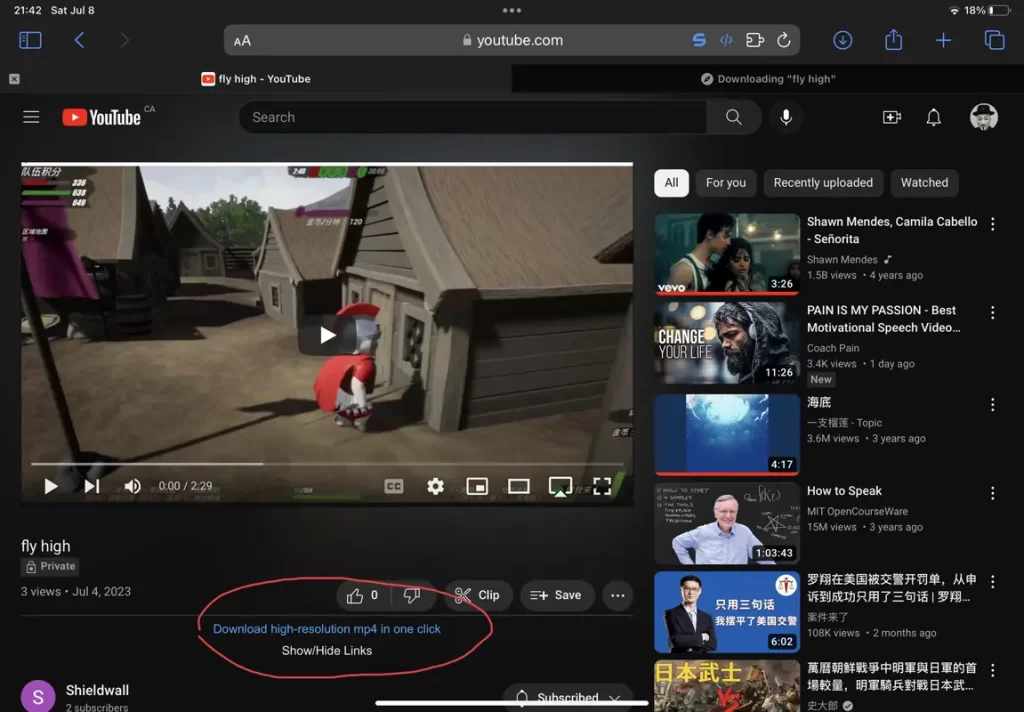 Local YouTube Downloader Script iOS