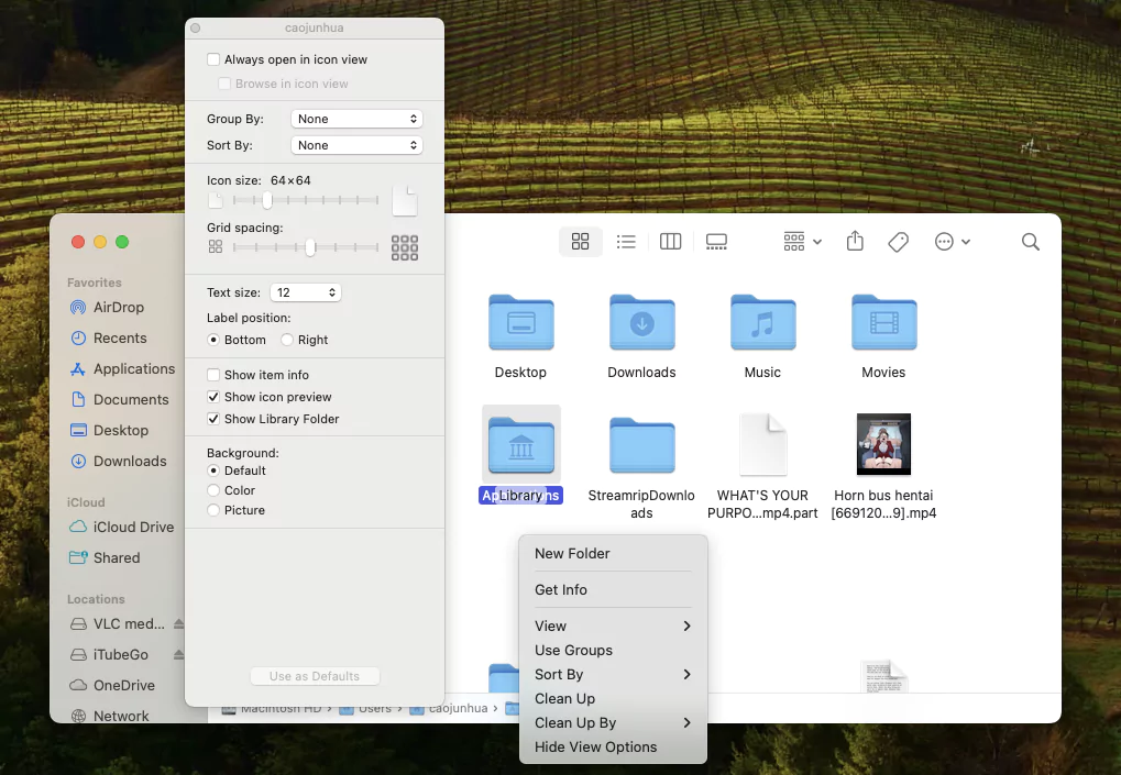 Finder Show Library Folder