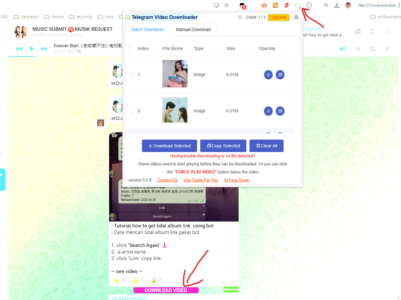 Extension for Downloading Private Telegram Video